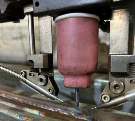 CLOSEUPTIGCUP